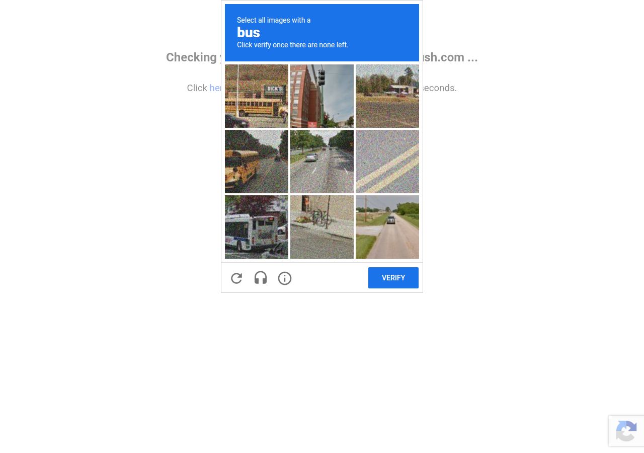 Semrush's site as it was sampled