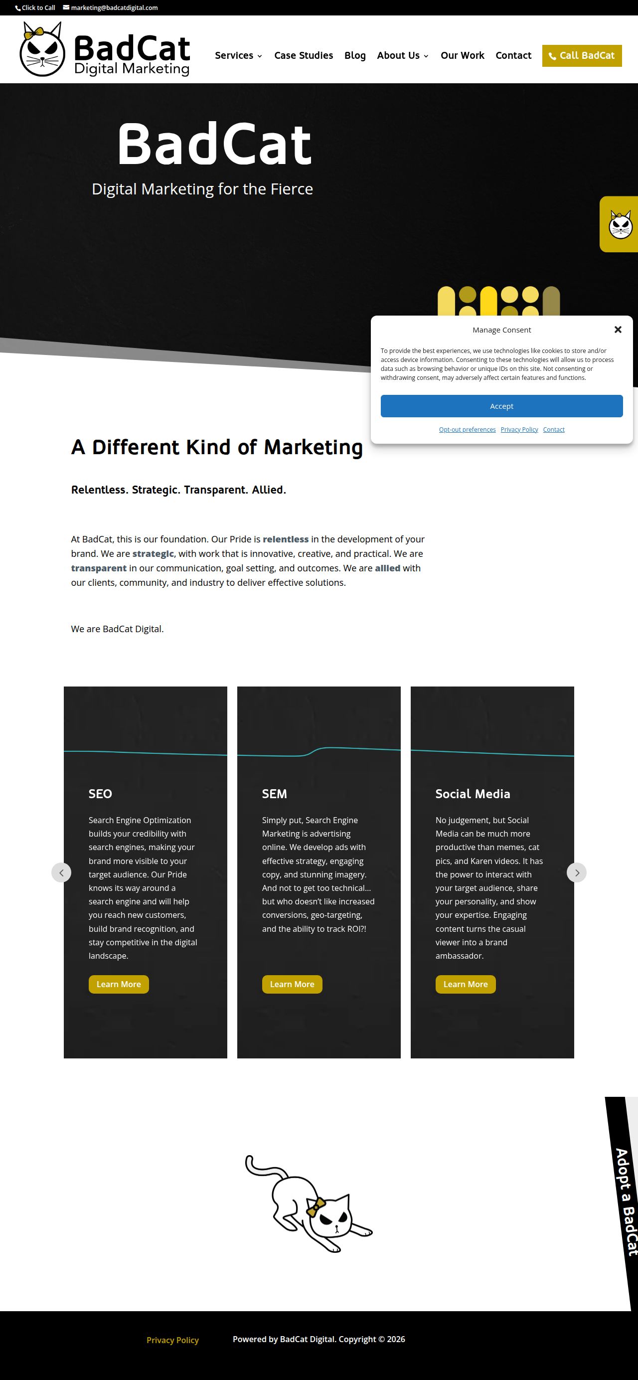 BadCat Digital Marketing's site as it was sampled
