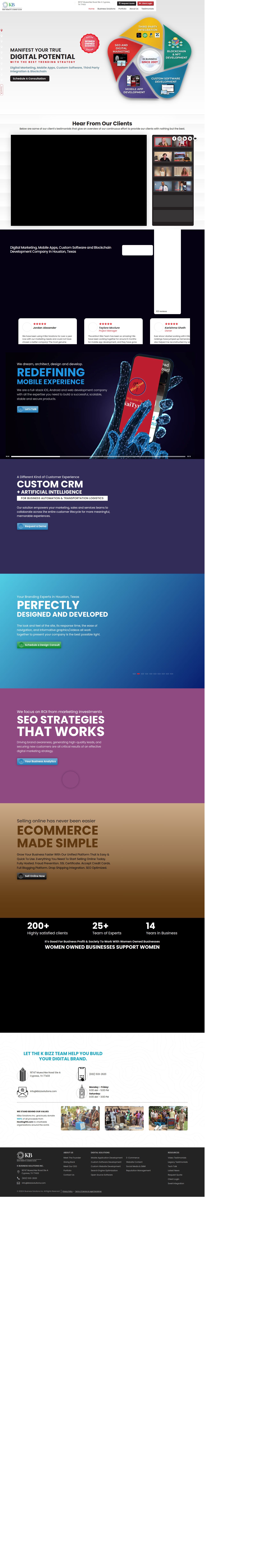 SEO's site as it was sampled